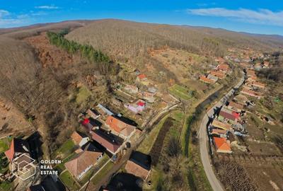 Spațiu comercial, de 400 mp, în Cladova - 35