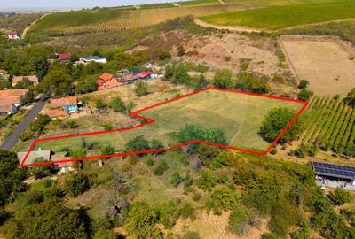 Teren Construcții intravilan de 4184 mp, în Miniș - 1