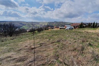 Teren Construcții intravilan de 2745 mp, în Feleacu - 1