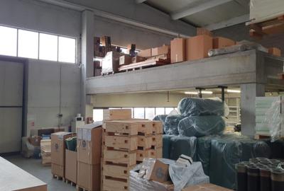 Spațiu industrial, de 5,508 mp, în Șagului - 2