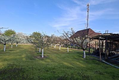 Casă cu Teren 1041 Mp în Central - 3