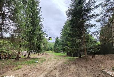 Casă cu 3 camere în Glăjărie