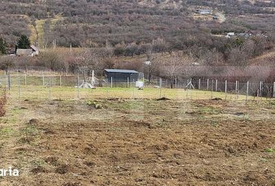 Teren de 1000 mp, în Dumitra