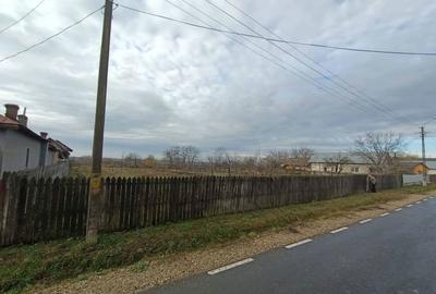 Teren în Ciupa-Mănciulescu - 2