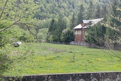 Teren de 1700 mp, în Lepșa - 4