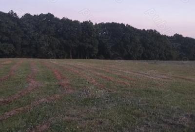 Teren de 6200 mp, în Popești - 1