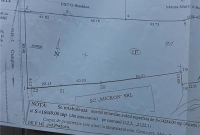 Teren de 17000 mp, în Cornu - 5