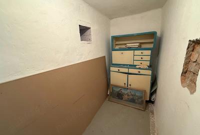 Teren de 8000 mp, în Dealu Mare - 2