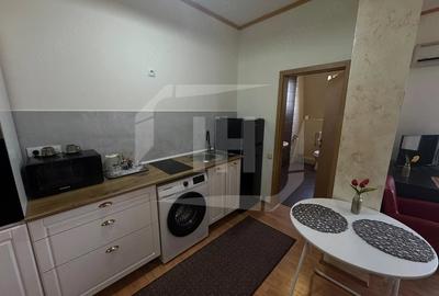 Garsonieră semidecomandată în Borhanci - 3