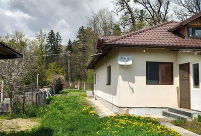 Casă cu 3 camere cu Teren 2370 Mp în Mihăești - 5