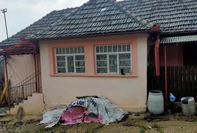Casă cu 3 camere cu Teren 2672 Mp în Ineu - 9