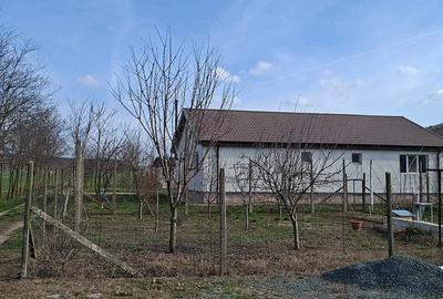 Teren de 90000 mp, în Central - 7