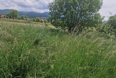 Teren intravilan de 1073 mp, în Cristian - 3