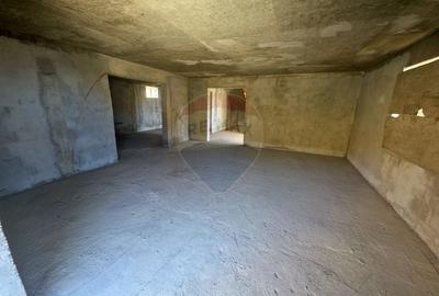 Casă individuală cu 5 camere cu Teren 2700 Mp în Alexandru cel Bun - 2