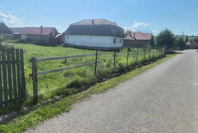 Teren de 2600 mp, în Moglănești - 2