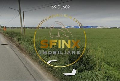 Teren Construcții intravilan de 40000 mp, în Joița - 8