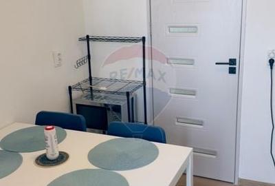 Apartament cu 2 camere semidecomandat, mobilat în Craiovița Nouă - 14