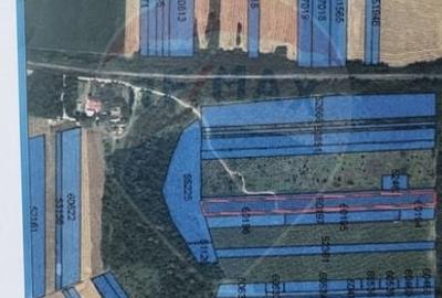 Teren Construcții intravilan de 12853 mp, în Periș - 2