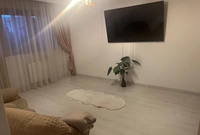 Apartament cu 3 camere decomandat în Banat - 1