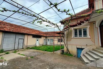 Casă cu 5 camere cu Teren 4800 Mp în Dobrești - 10