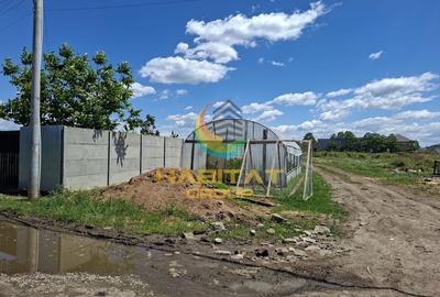 Teren Construcții intravilan de 350 mp, în Jilava - 7