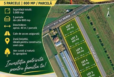 Teren intravilan de 800 mp, în Horia