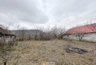 Teren de 3252 mp, în Tauț - 10