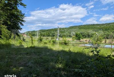Teren de 957 mp, în Hulubești - 7