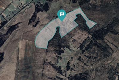 Teren agricol extravilan de 401200 mp, în Secaș - 1