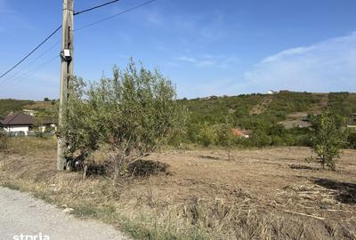 Teren de 3280 mp, în Central - 2