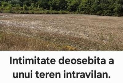 Teren de 2193 mp, în Râfov - 1
