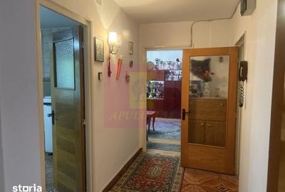 Apartament cu 3 camere decomandat în Drumul Taberei