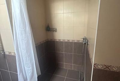 Apartament cu 3 camere decomandat în Berceni - 21