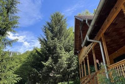 Casă cu 4 camere în Varlaam - 7