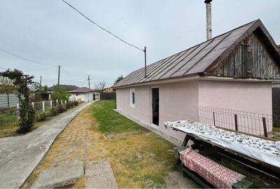 Casă cu Teren 5500 Mp în Bălteni - 2