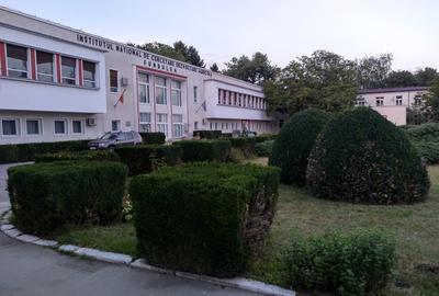 Teren de 35000 mp, în Central