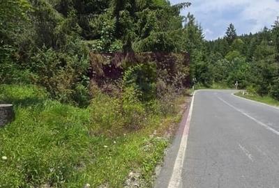 Teren în Central
