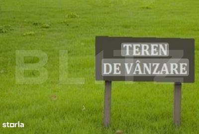 Teren de 10000 mp, în Moara - 1