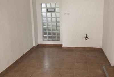 Spațiu comercial, de 60 mp, în Elisabetin