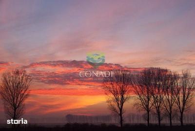 Teren de 2270000 mp, în Ciocănești - 2