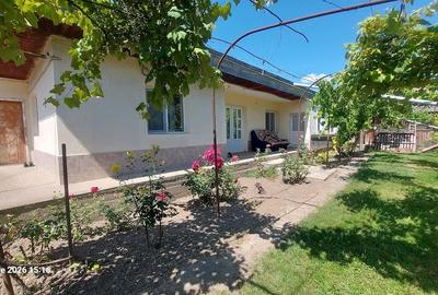 Casă cu Teren 2500 Mp în Șerbănești - 9