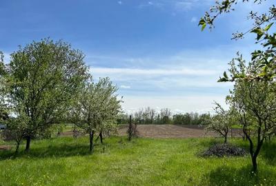 Teren de 7100 mp, în Răucești - 10