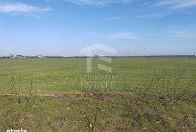 Teren de 1023 mp, în Cernica
