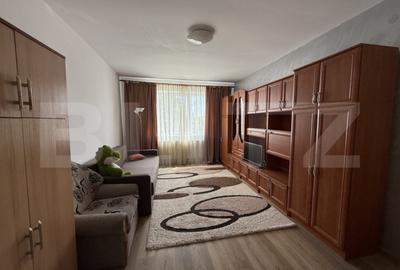 Garsonieră semidecomandată în Păulești - 3
