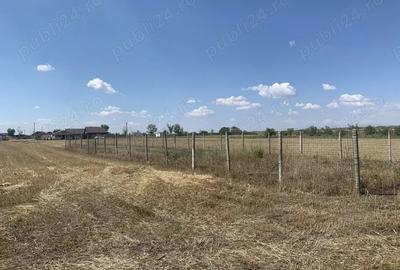 Teren de 1225 mp, în Vasile Alecsandri - 3