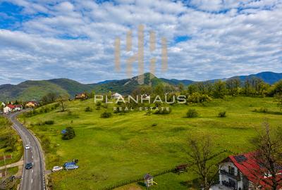 Teren Construcții intravilan de 11743 mp, în Baia Sprie - 2