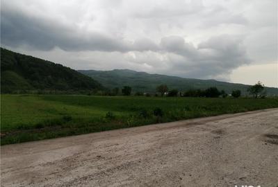 Teren de 2400 mp, în Central - 7