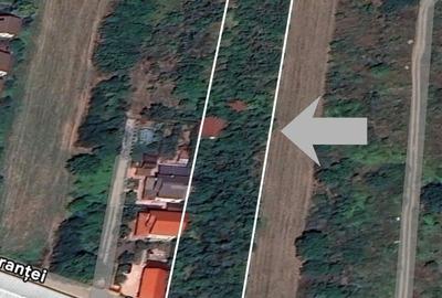 Teren de 5014 mp, în Afumați - 6