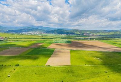 Teren agricol extravilan de 5800 mp, în Tohanu Nou - 1