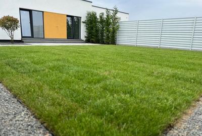 Duplex cu 3 camere cu Teren 300 Mp în Dumbrăvița - 1